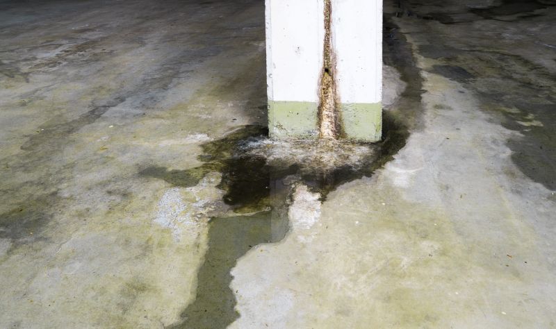 Leaking Foundation Repair in Camden, SC